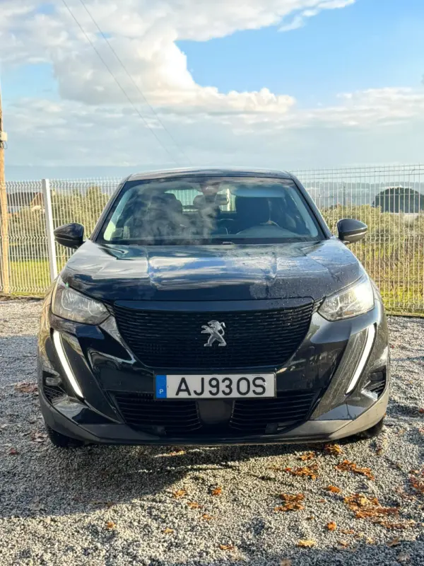 Peugeot 2008 1.5 BlueHDi Active Pack 8