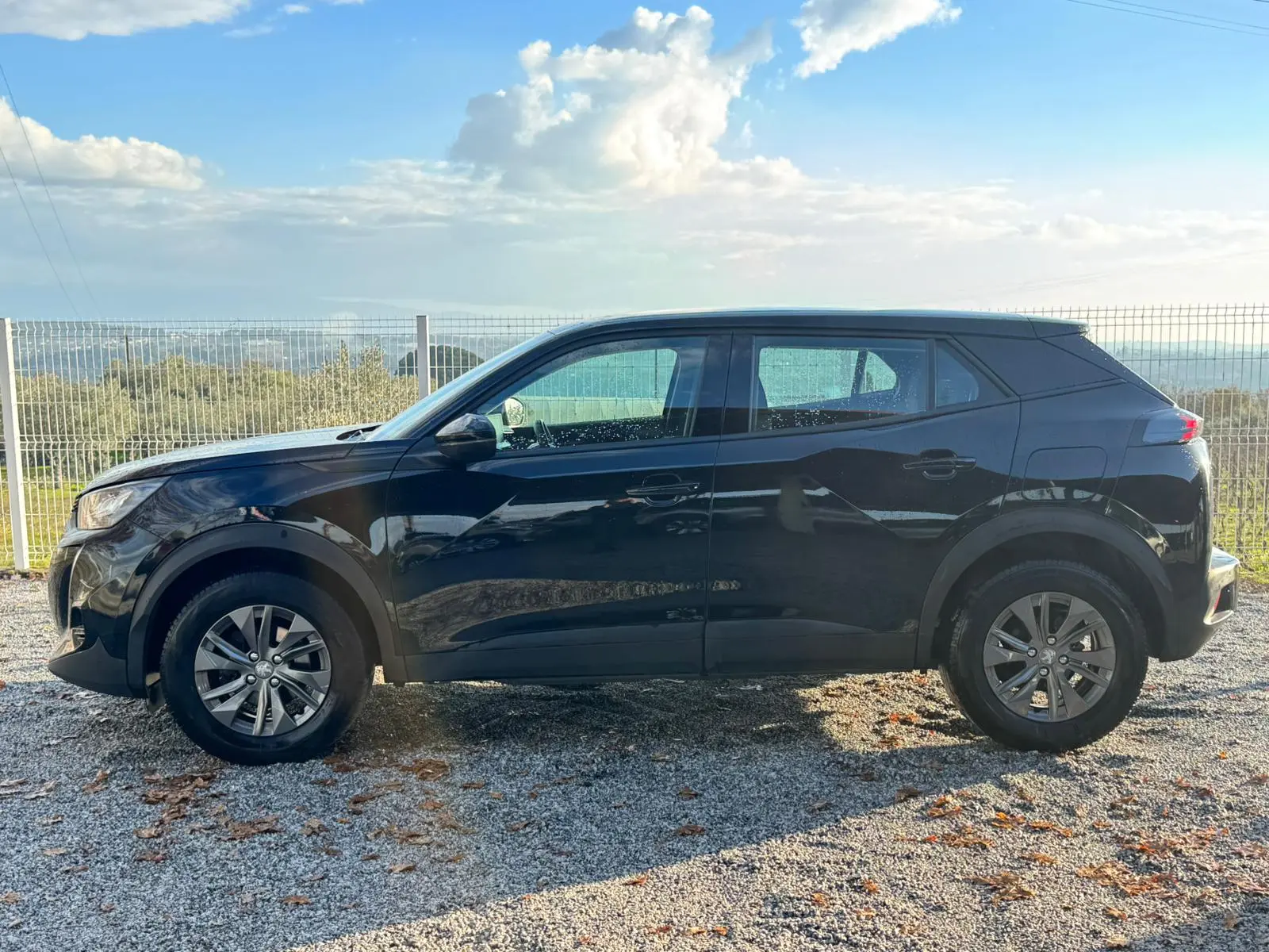 Peugeot 2008 1.5 BlueHDi Active Pack 12