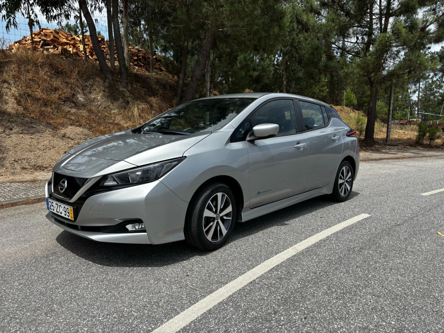 Nissan Leaf 2.Zero 4