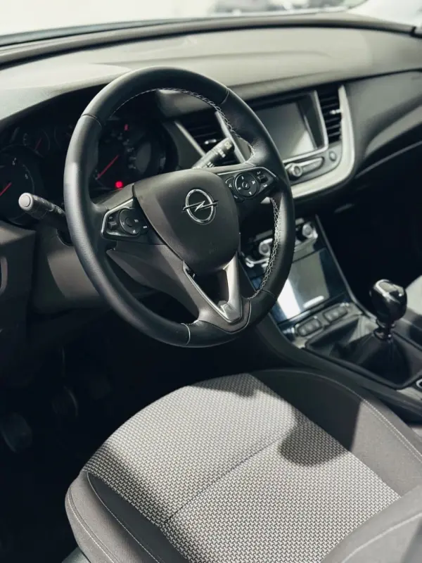 Opel Grandland X 1.6 D S&S Business Edition 8