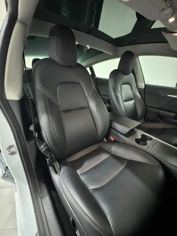 Tesla Model 3 Performance 6