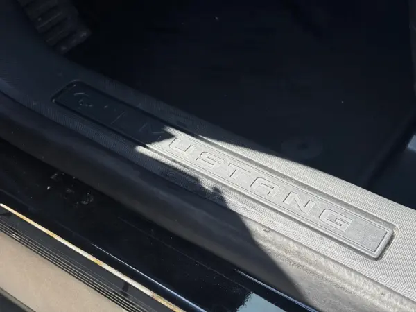 Ford Mustang Mach-E Premium 16