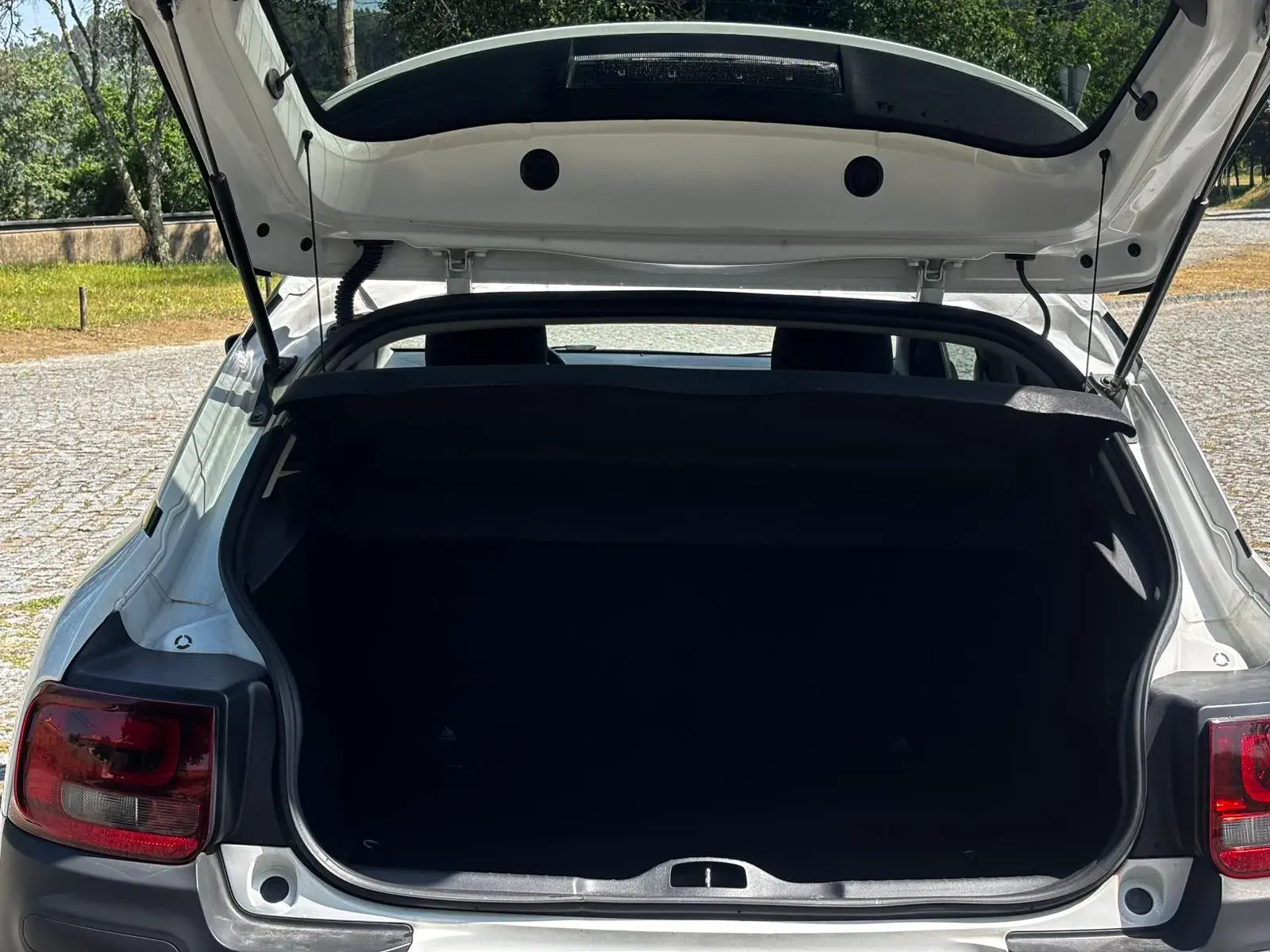 Citroen C4 Cactus 1.2 PureTech Live 21