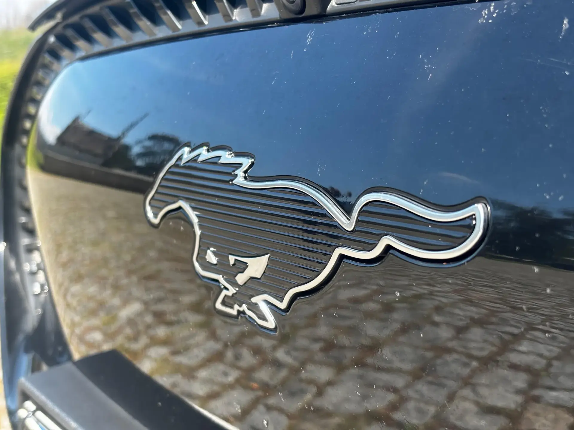 Ford Mustang Mach-E Premium 18
