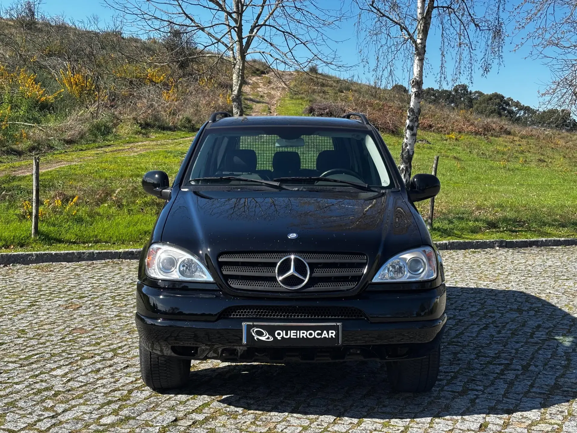Mercedes-Benz ML 270 CDi 1