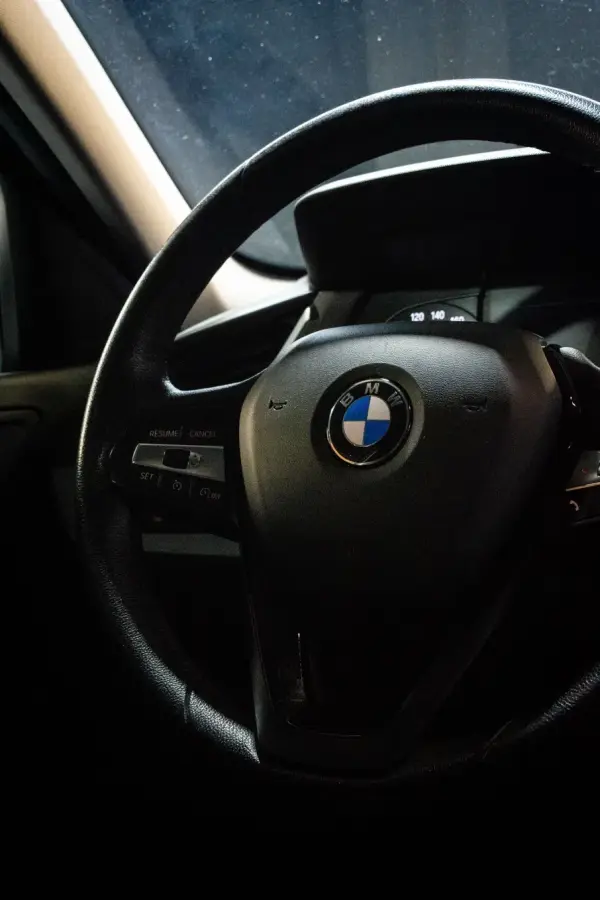 BMW 116 d Advantage Auto 15