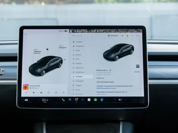 Tesla Model 3 Long-Range Dual Motor AWD 18