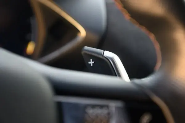 DS DS3 Crossback 1.2 PureTech Performance Line EAT8 28