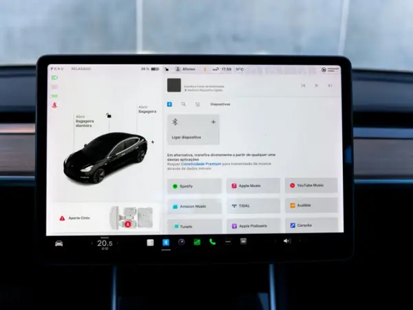 Tesla Model 3 Standard Range Plus RWD 22