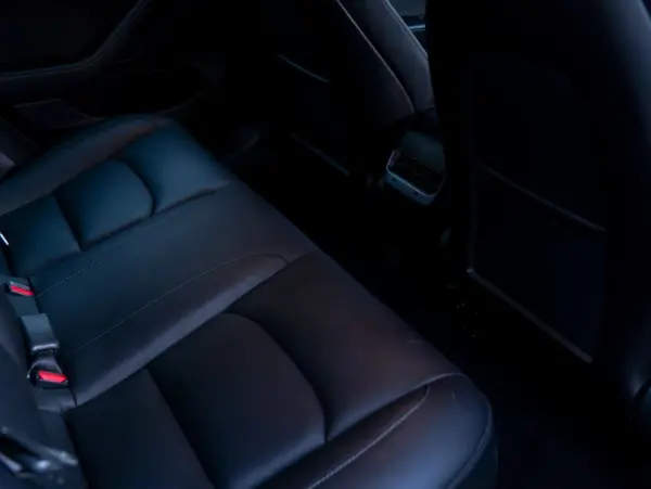 Tesla Model 3 Standard Range Plus RWD 29