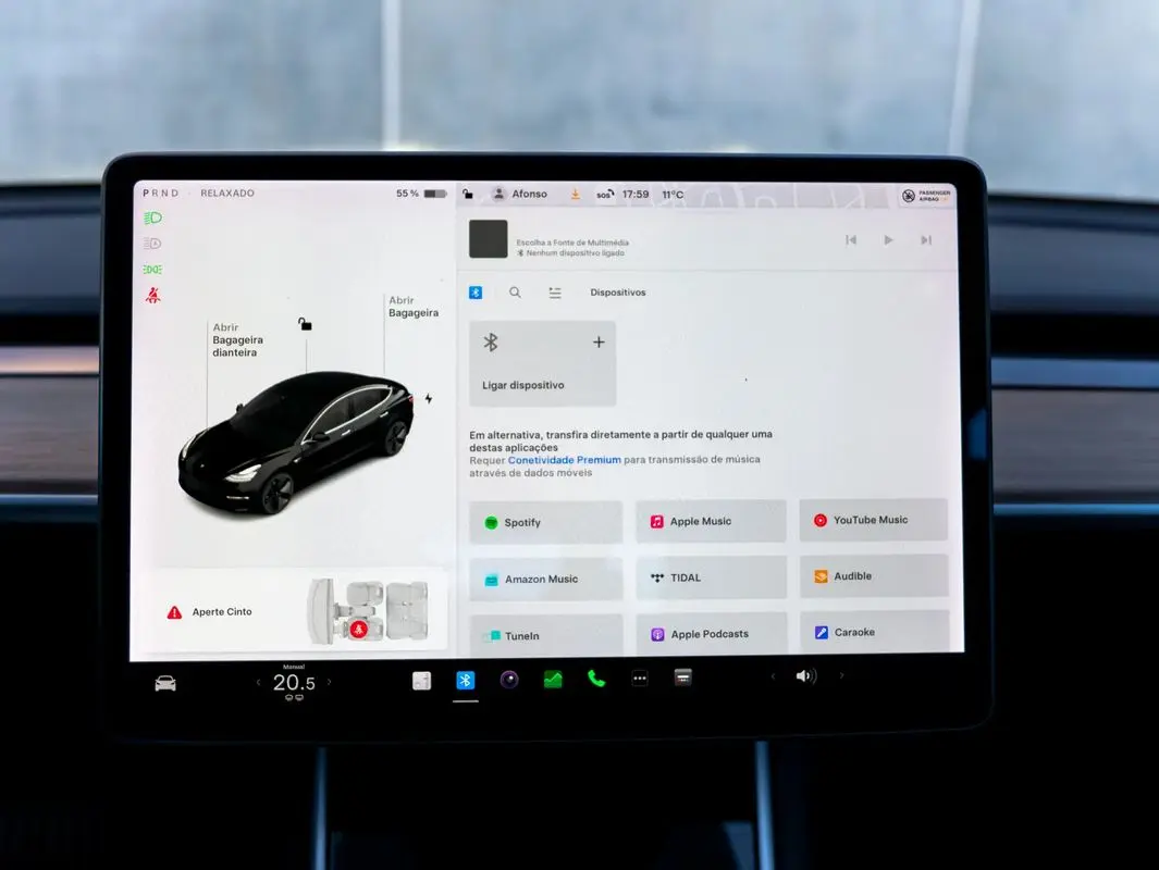 Tesla Model 3 Standard Range Plus RWD 22