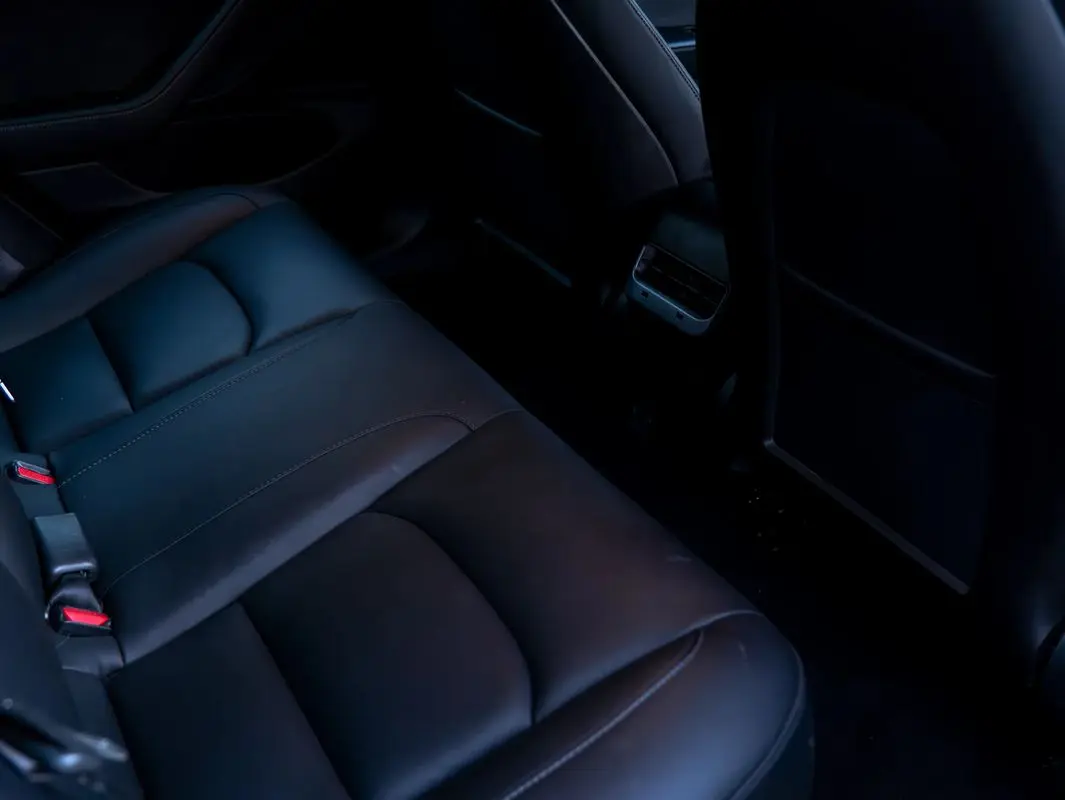 Tesla Model 3 Standard Range Plus RWD 29