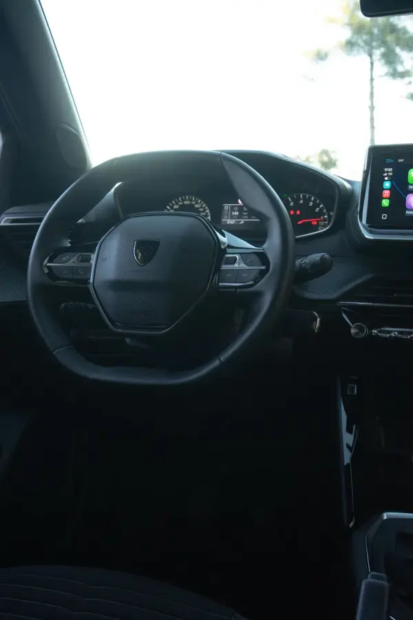 Peugeot 2008 PureTech Active Pack 13