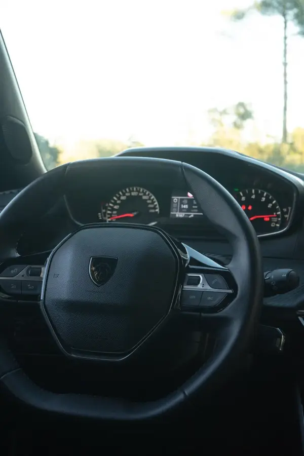 Peugeot 2008 PureTech Active Pack 17