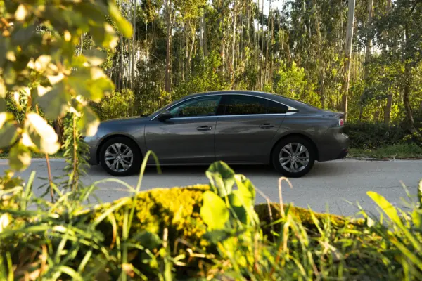 Peugeot 508 BlueHDI Business Line 12