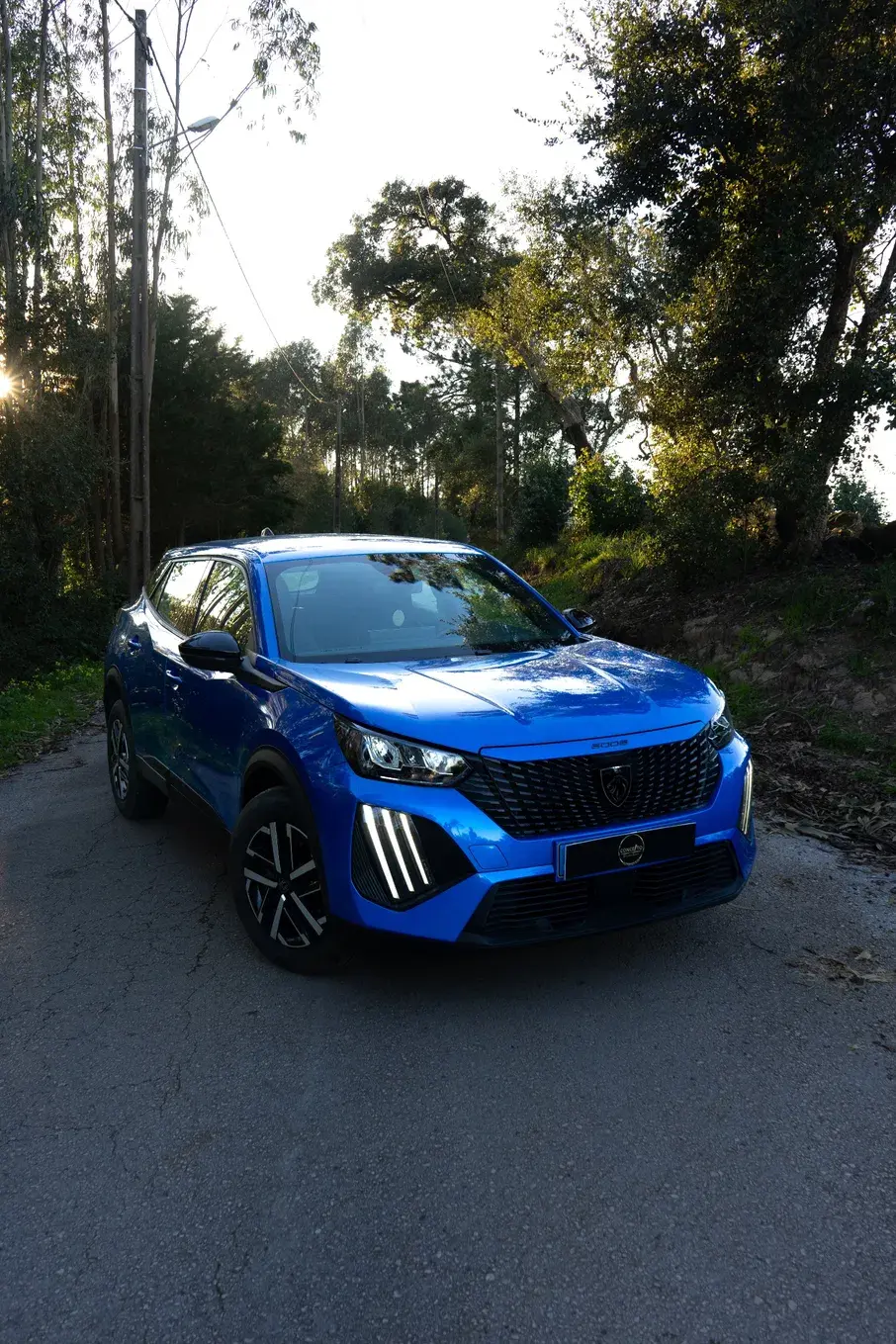 Peugeot 2008 PureTech Active Pack 2