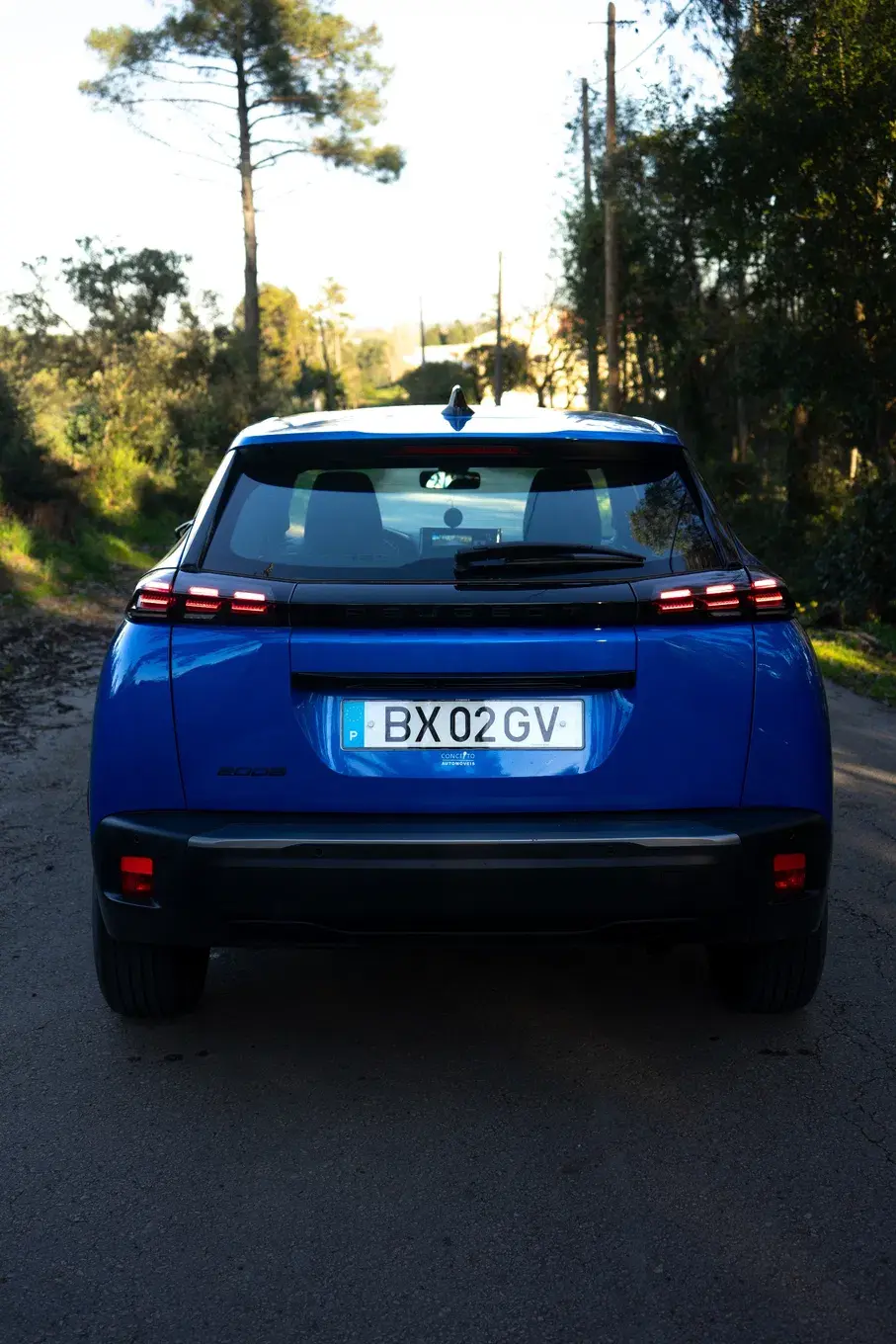 Peugeot 2008 PureTech Active Pack 5