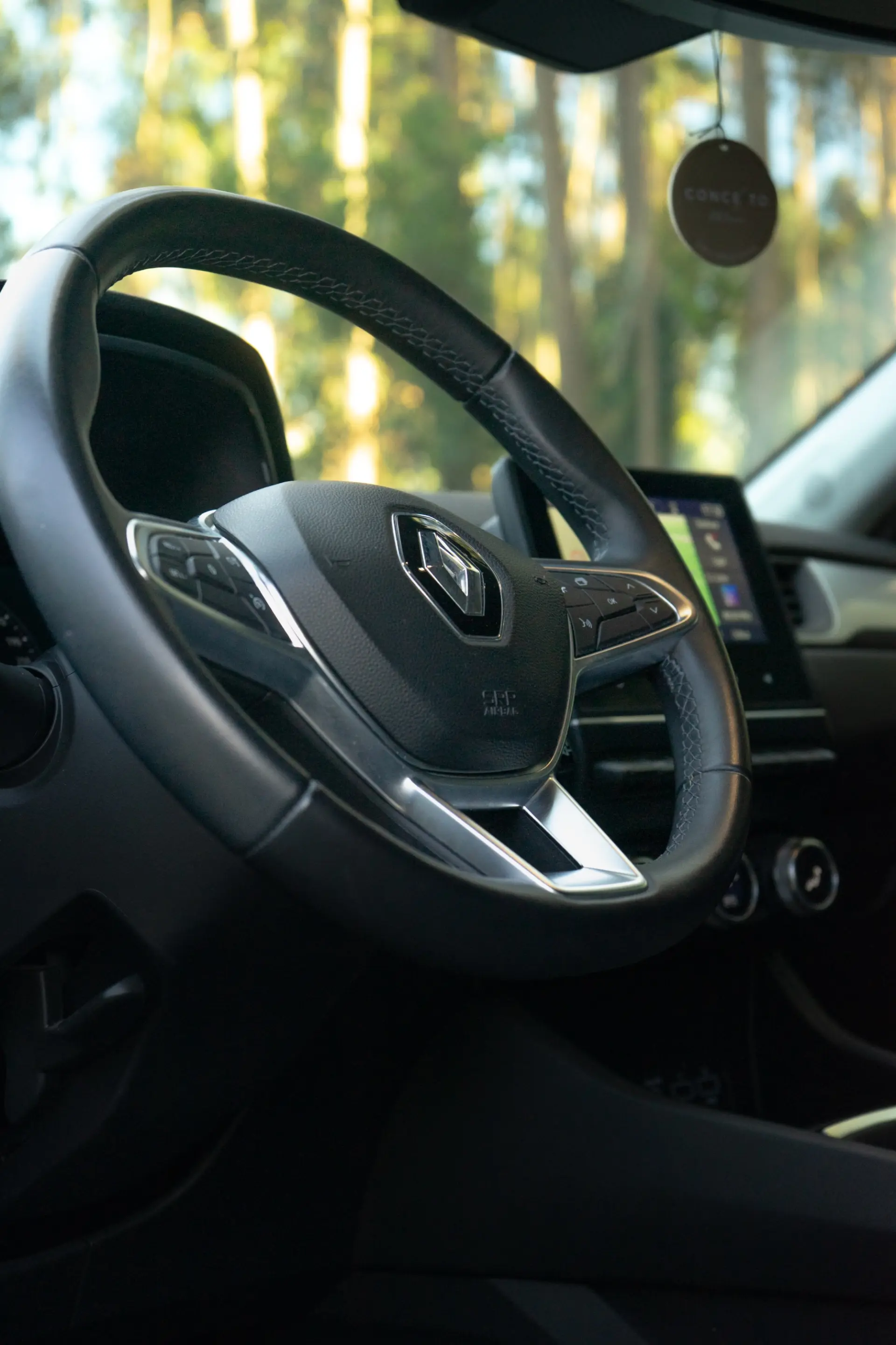 Renault Captur 1.0 TCe Techno Bi-Fuel 6