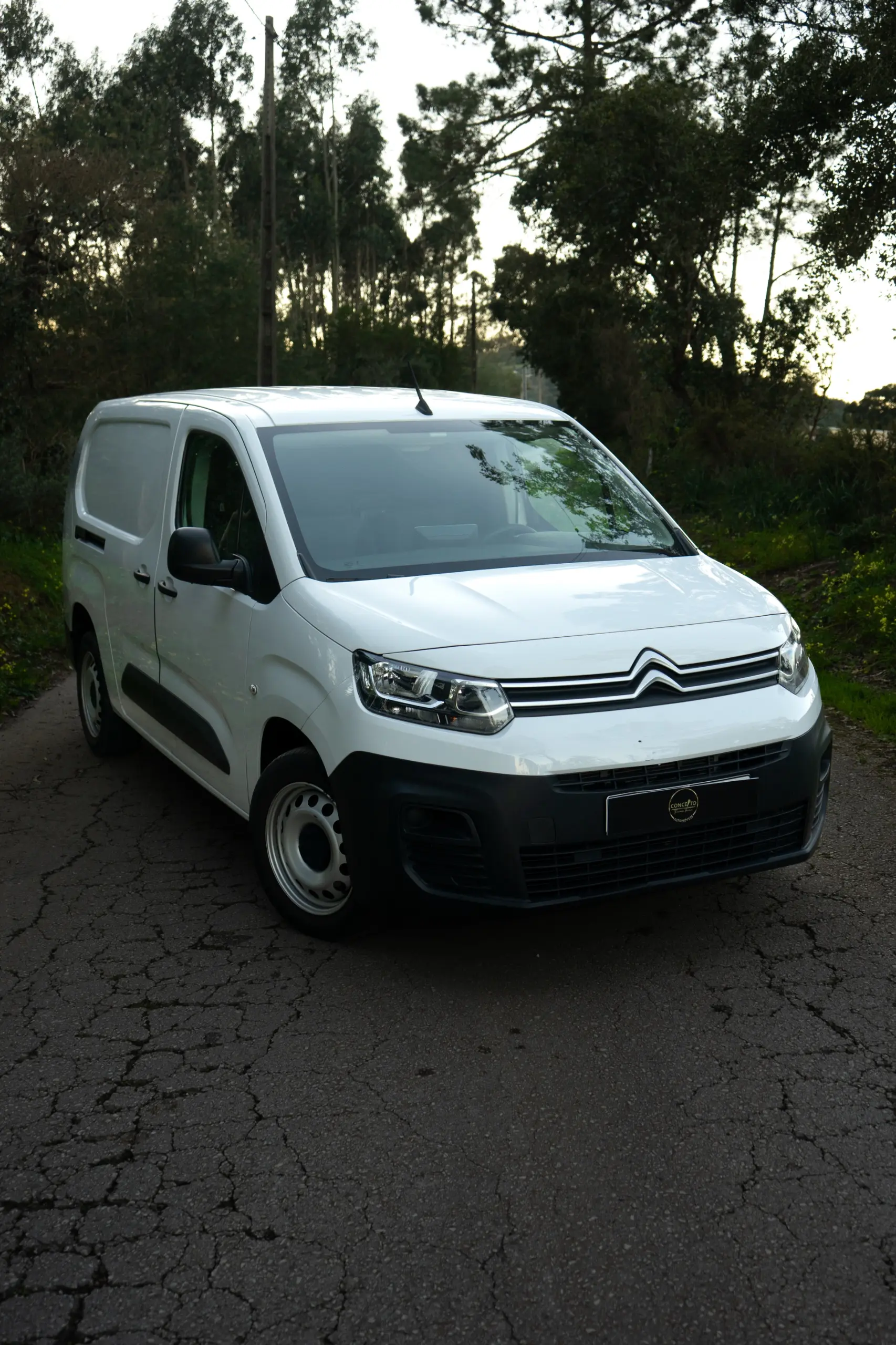 Citroën Berlingo 1.5 BlueHDi XL Live 22