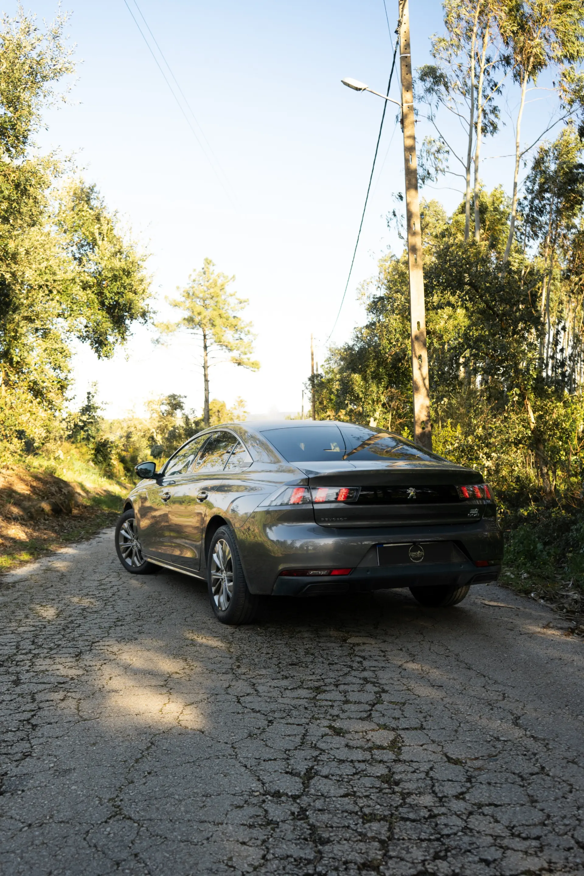 Peugeot 508 BlueHDI Business Line 6