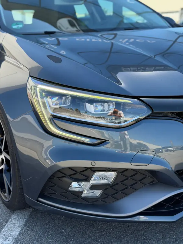Renault Mégane TCe 300 GPF EDC R.S. TROPHY 19