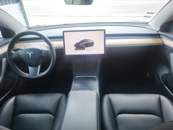Tesla Model 3 Standard Range Aut. Pilot 10