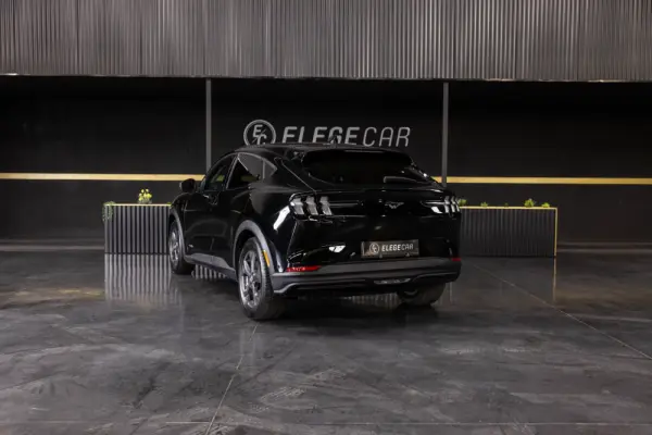 Ford Mustang Mach-E Standard 8