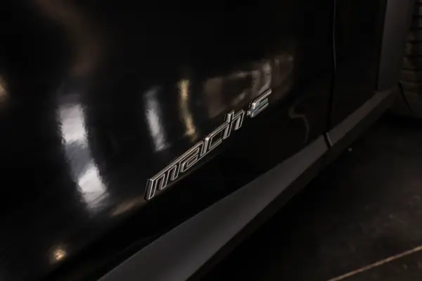 Ford Mustang Mach-E Standard 13