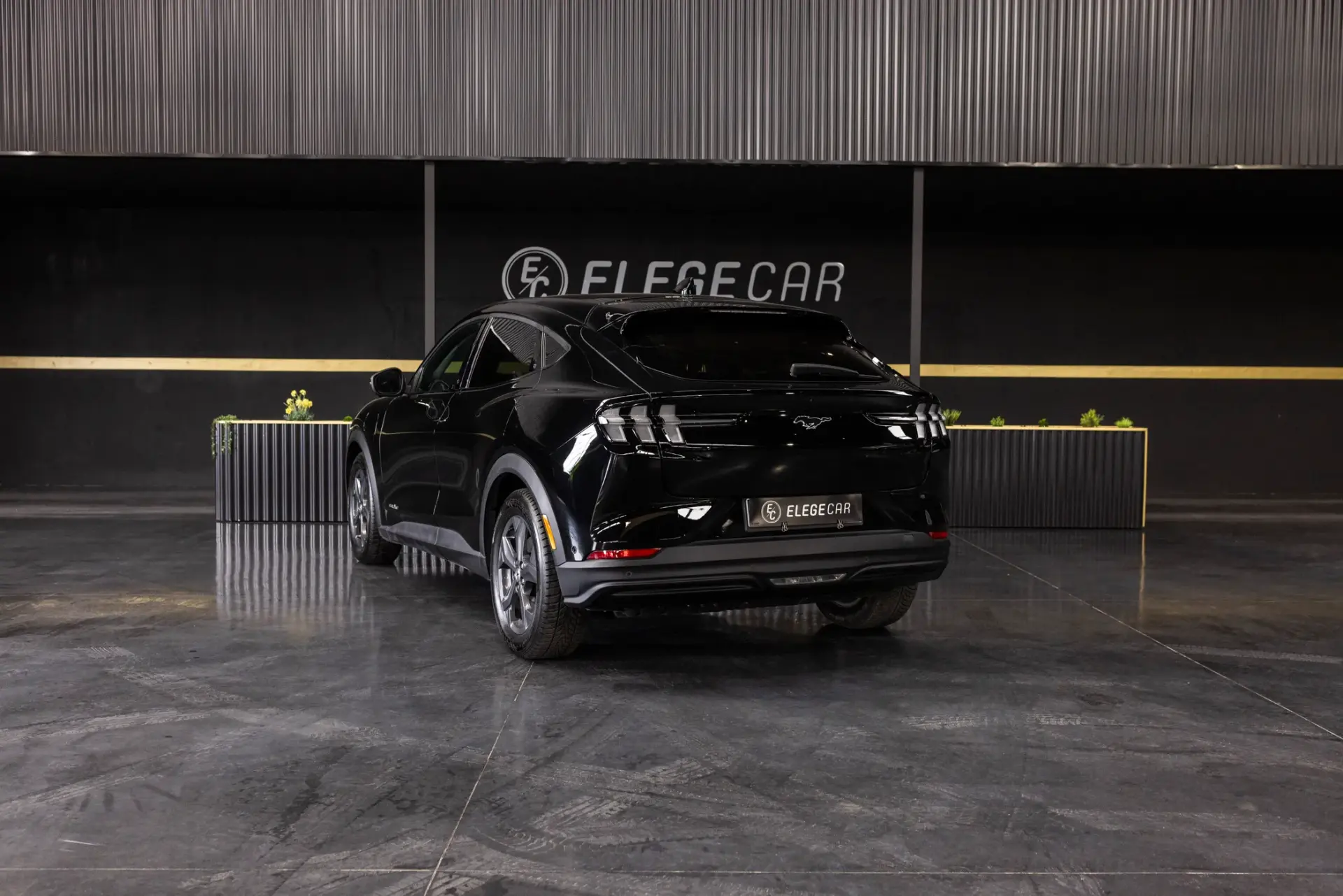 Ford Mustang Mach-E Standard 8
