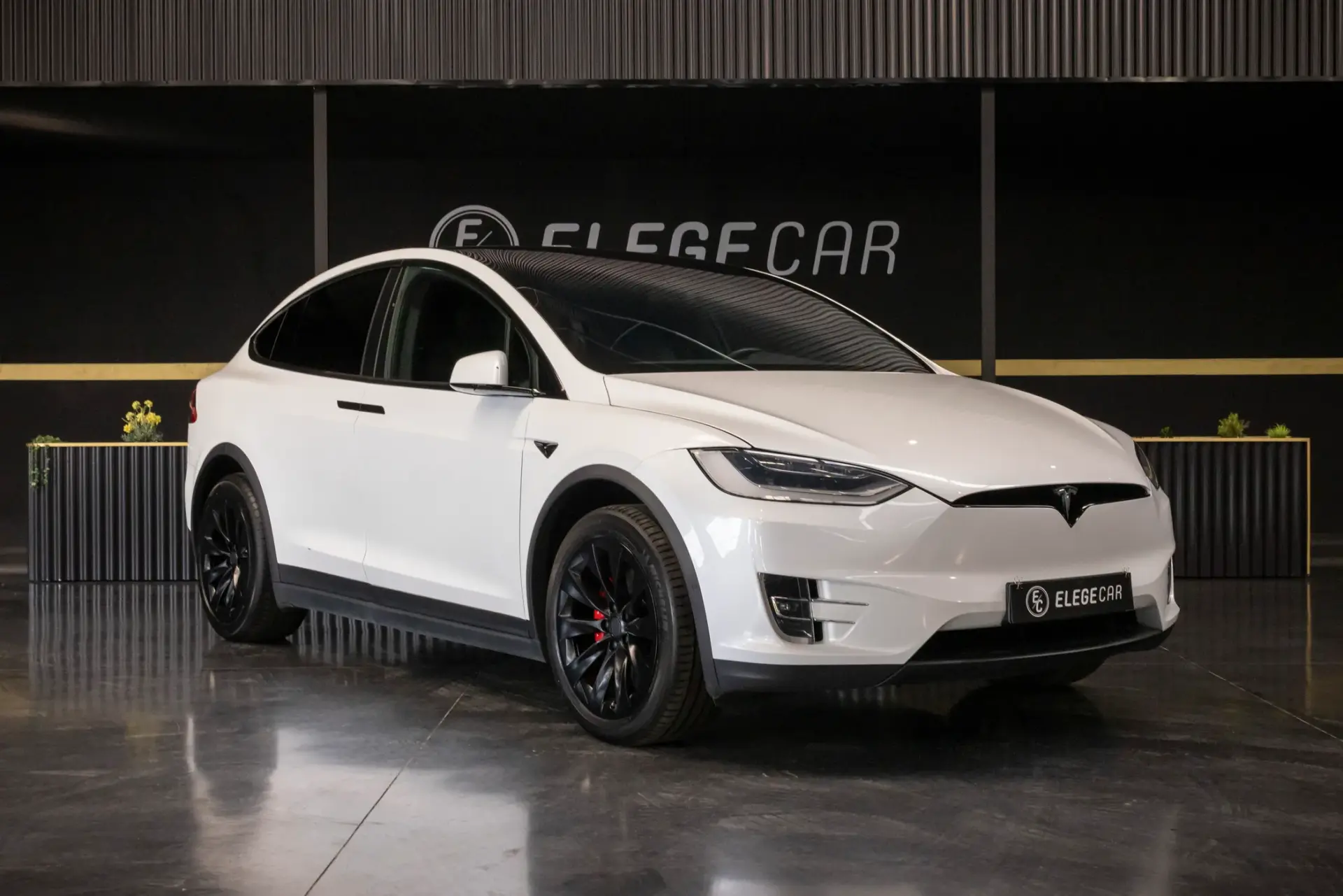 Tesla Model X Long Range 1