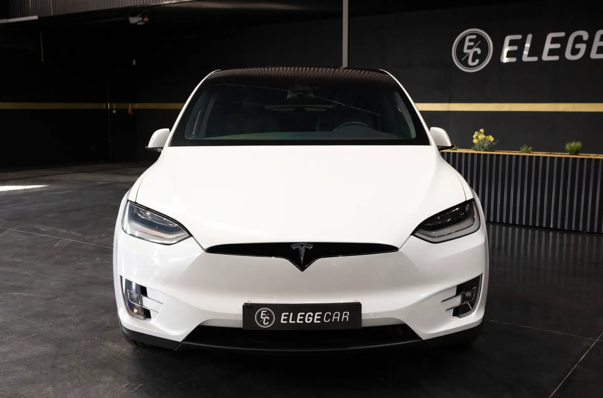 Tesla Model X Long Range 6