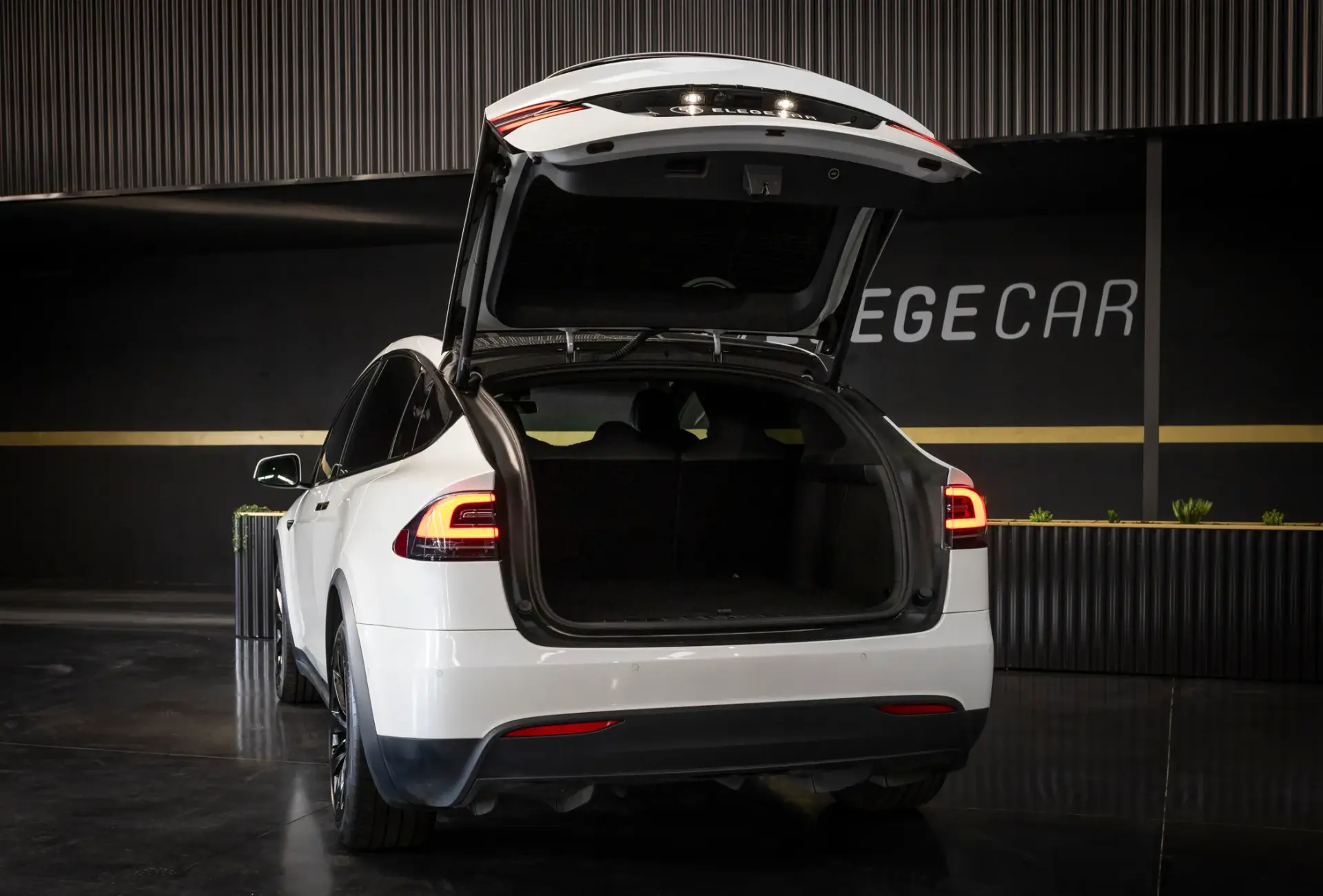 Tesla Model X Long Range 12