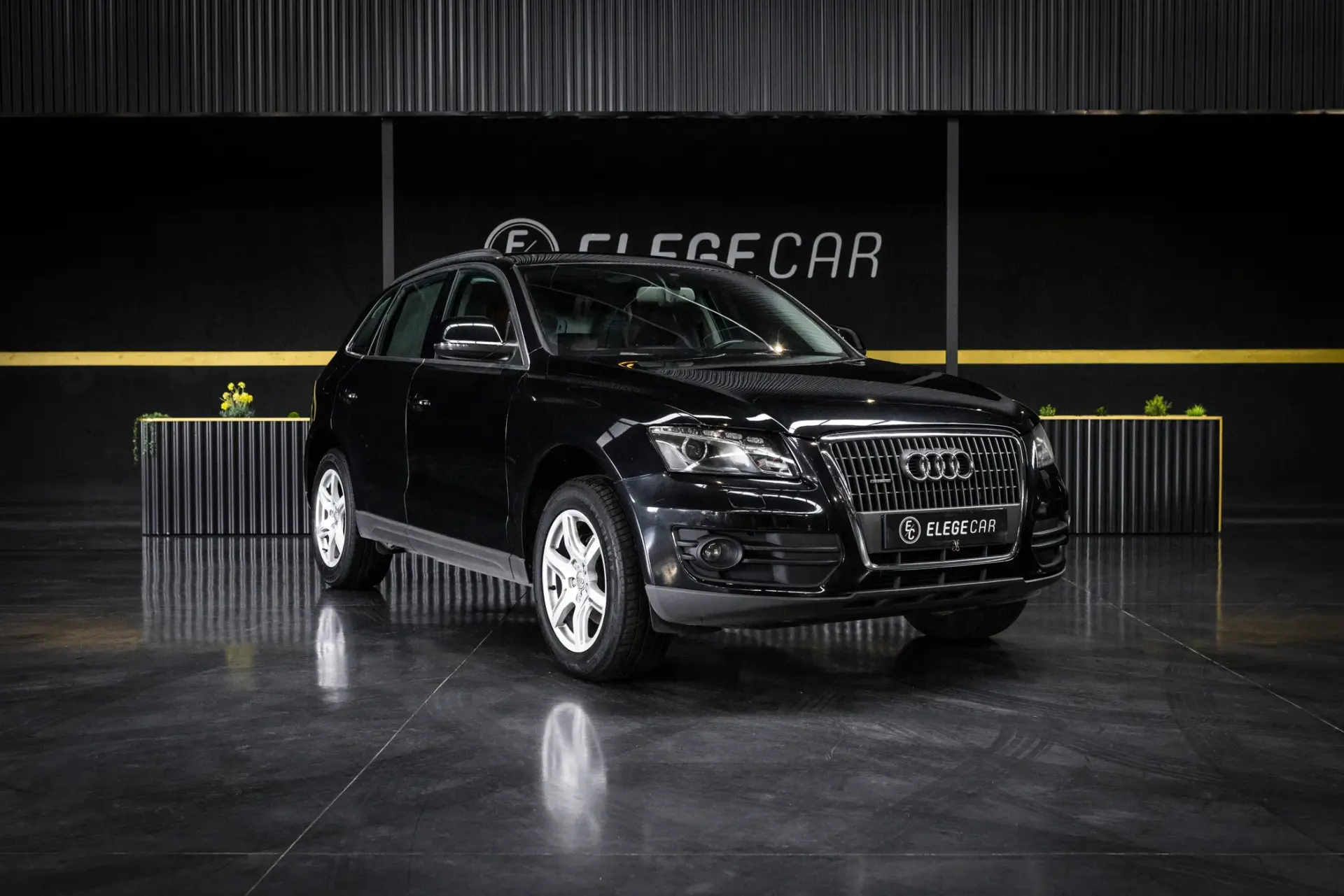 Audi Q5 2.0 TDI Exclusive 1