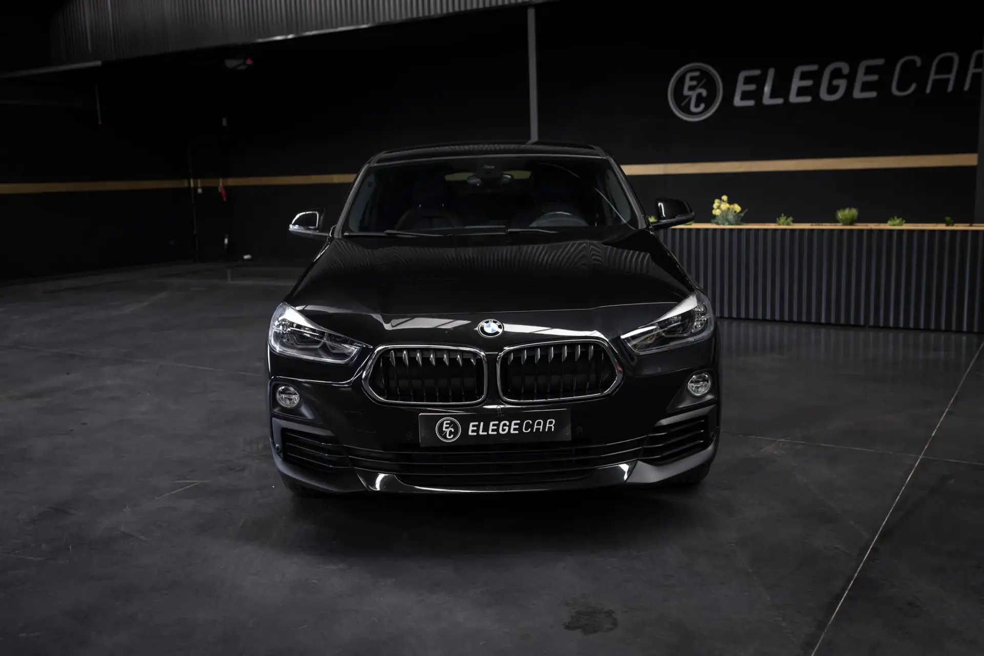 BMW X2 18 i sDrive Auto Advantage 5
