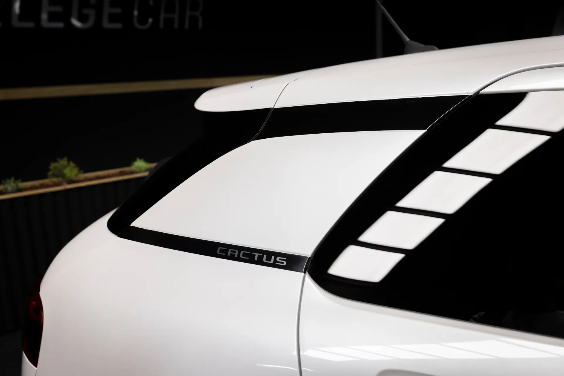 Citroen C4 Cactus 1.6 BlueHDi Shine 4