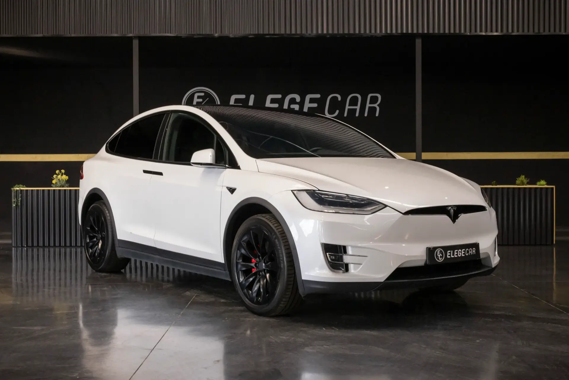 Tesla Model X Long Range 1