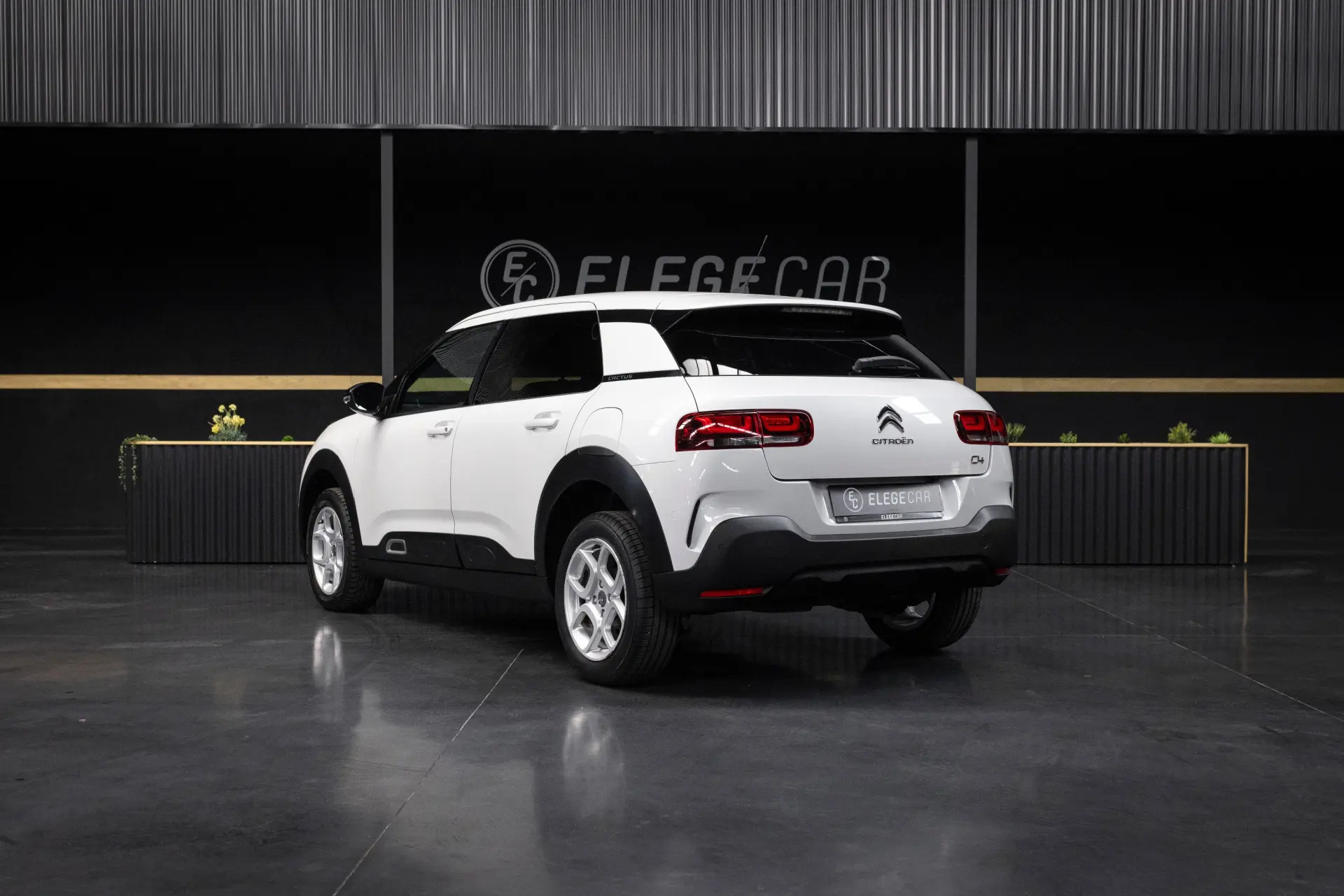 Citroen C4 Cactus 1.6 BlueHDi Shine 7