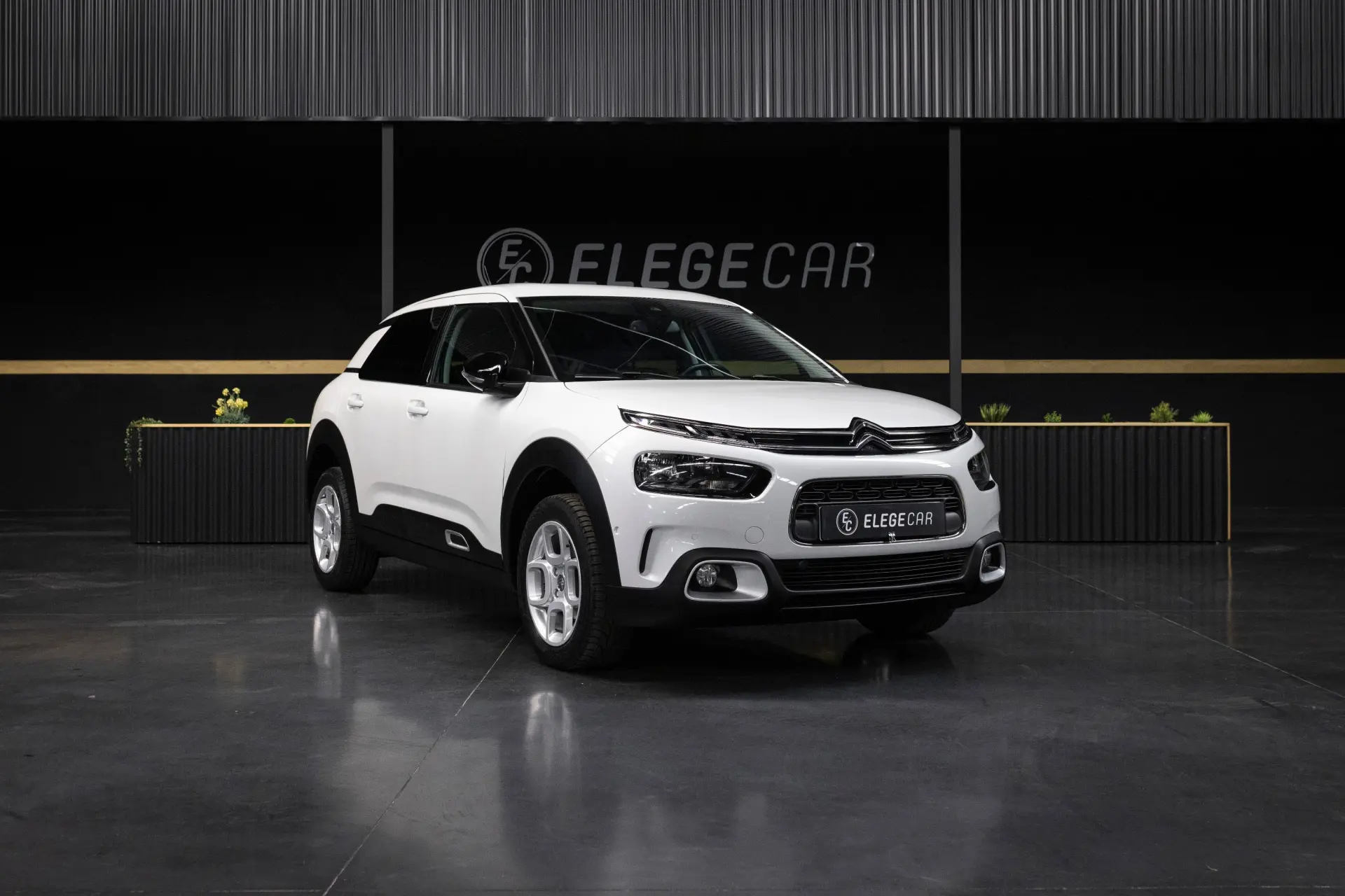 Citroen C4 Cactus 1.6 BlueHDi Shine 1
