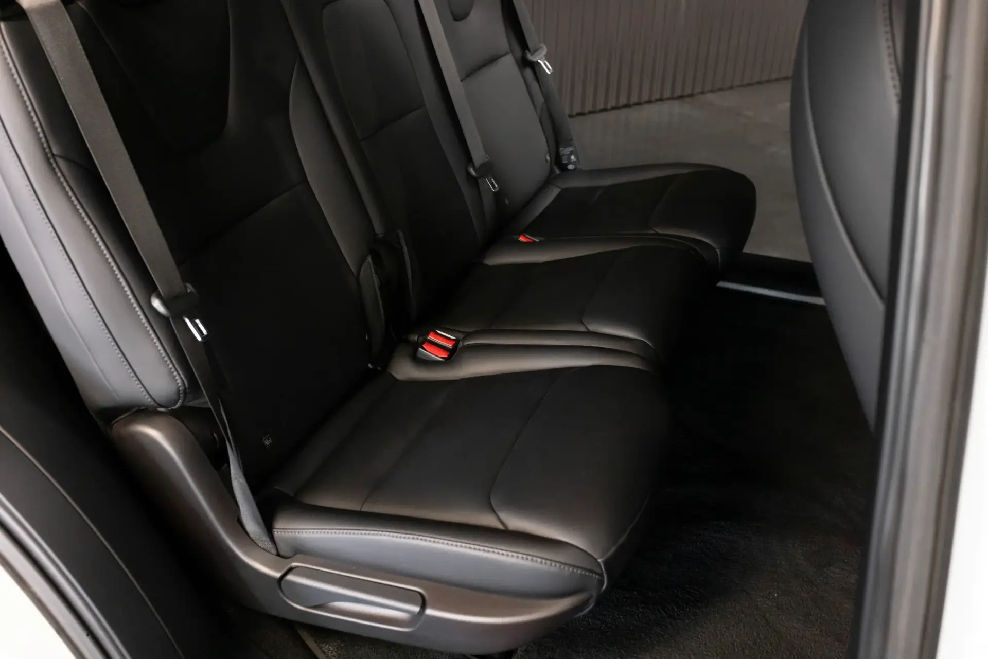 Tesla Model X Long Range 38