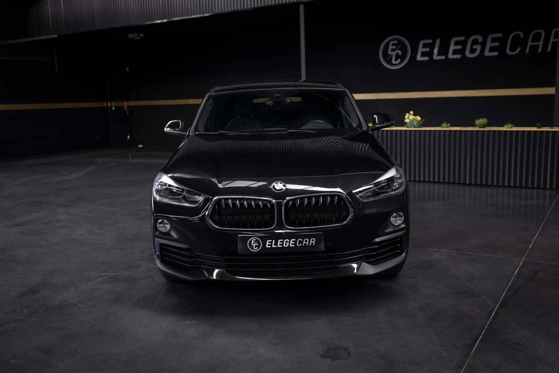 BMW X2 18 i sDrive Auto Advantage 2