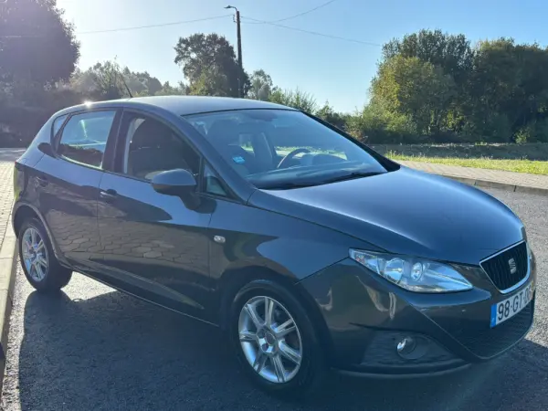 SEAT Ibiza 15