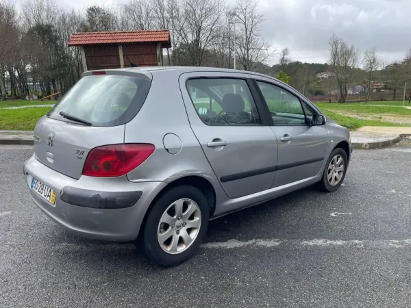 Peugeot 307 9