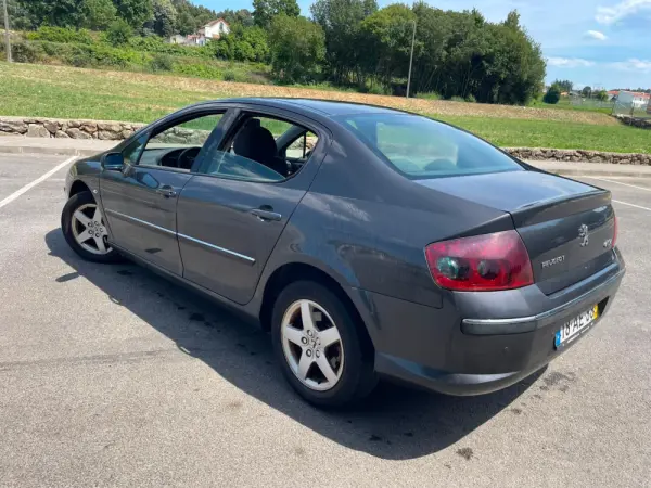 Peugeot 407 17