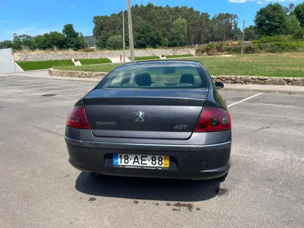 Peugeot 407 15