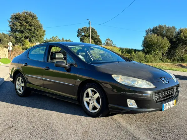 Peugeot 407 11
