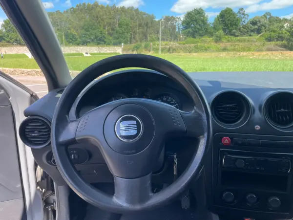 SEAT Ibiza 10