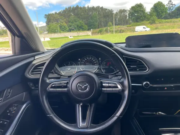 Mazda CX-30 19