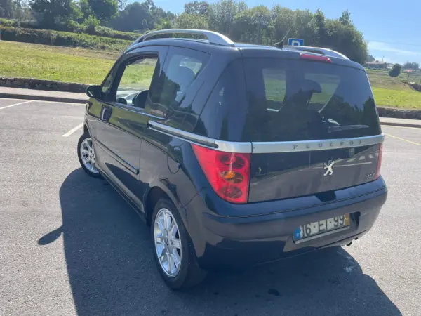 Peugeot 1007 5