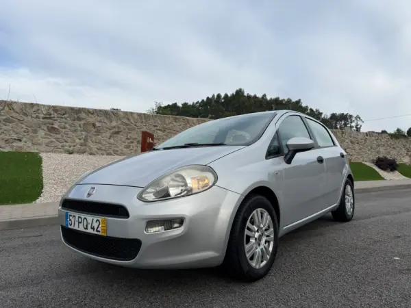 Fiat Punto 19