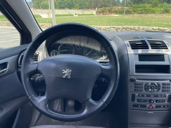 Peugeot 407 16